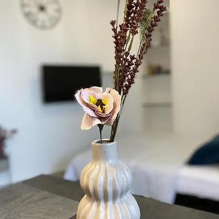 Vibes Apartment